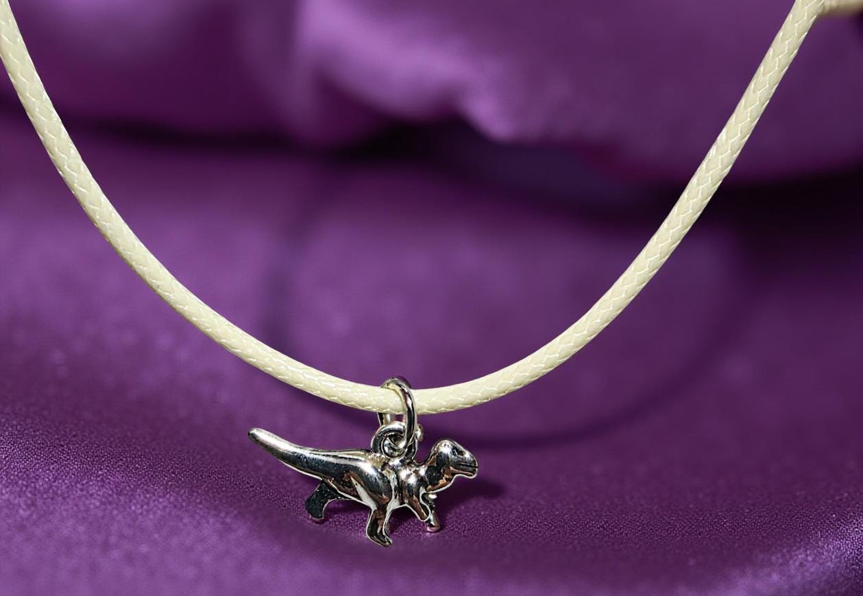 Playful Dinosaur Necklace – Sterling Silver Dino Pendant, Fun Animal Jewelry, Boho Chic Gift for Her, BoutiqueByCheryl